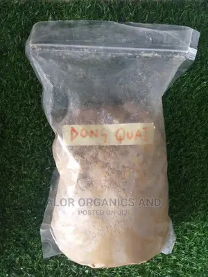 Dong Qual Powder 100G