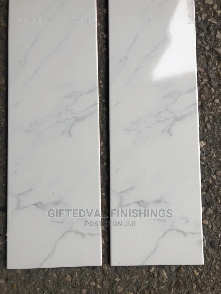 20X60 Spanish Wall Tiles.