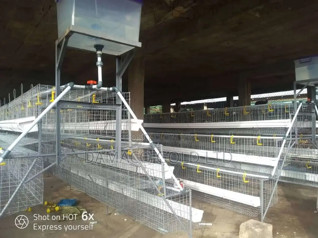 Quality Battery Cage