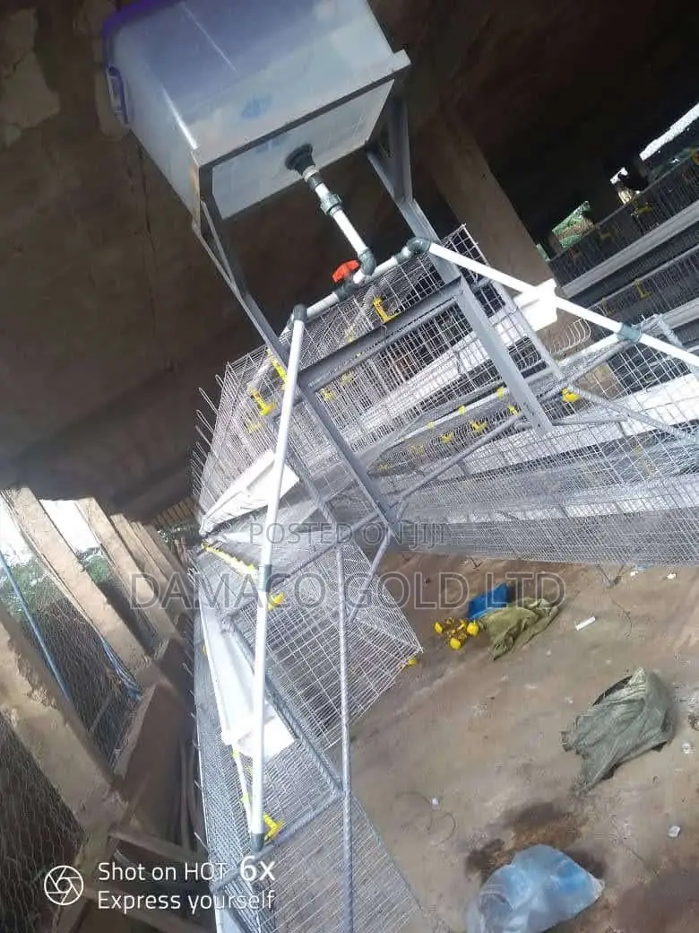 Quality Battery Cage