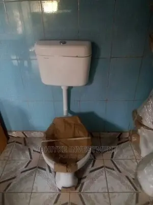 Hanging Toilet Seat