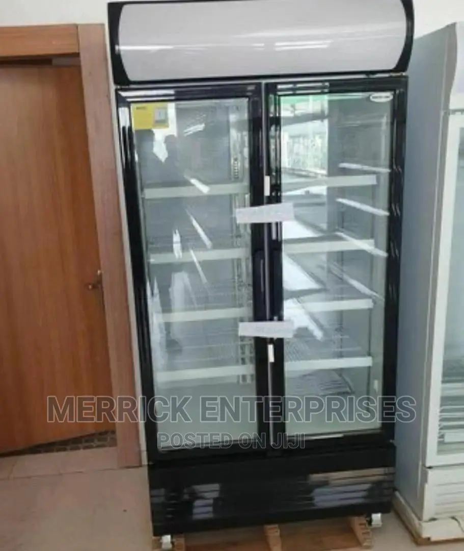 Snowsea Chiller Double Door