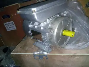 Electric Motors