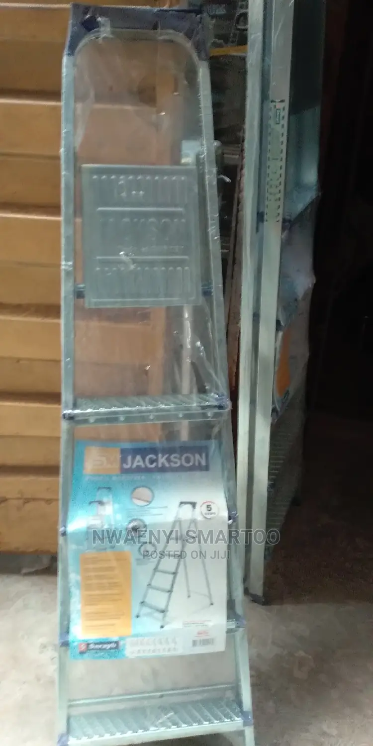 5 Step Stainless Ladder