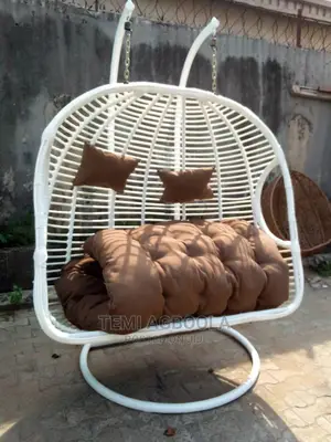 Double Swing Chair
