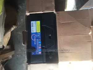 Everstart Battery