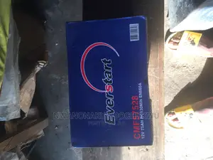 Everstart Battery