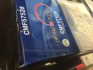 Everstart Battery