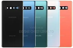 Samsung Galaxy S10/ S10 Plus Back Glass Replacement