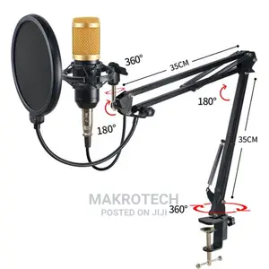 Professional Condenser Microphone Set With Stand, Pop