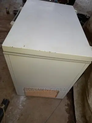Bauknecht Chest Freezer