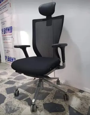Ergonomic Office Chair(With Headrest an Adjustable Handle
