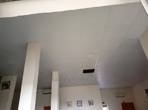 Suspended Ceiling Board Only