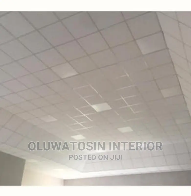 Acoustic/Gypsum Suspended Ceiling