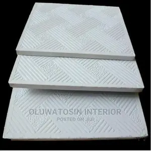 Acoustic/Gypsum Suspended Ceiling