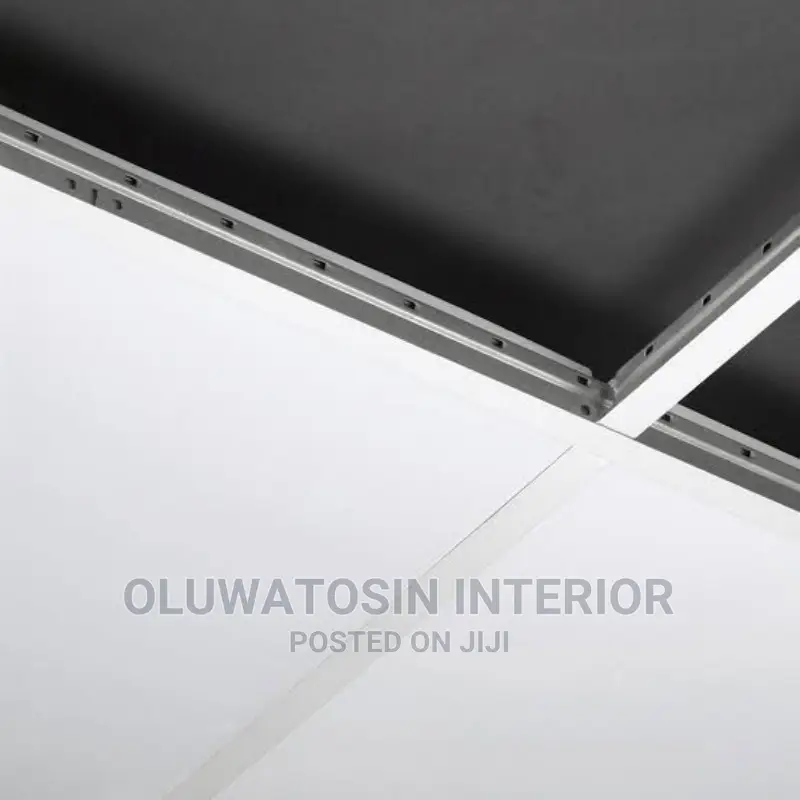Acoustic/Gypsum Suspended Ceiling