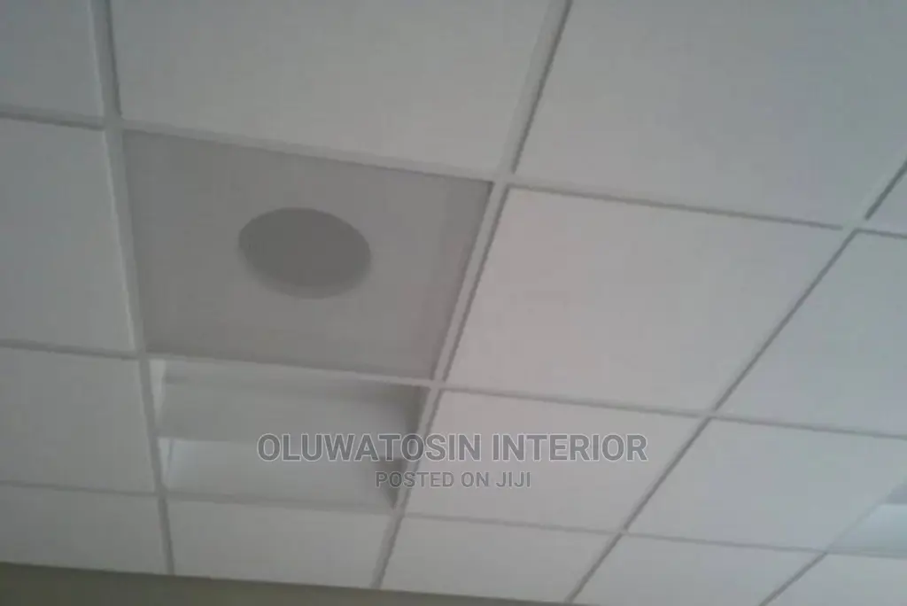 Acoustic/Gypsum Suspended Ceiling