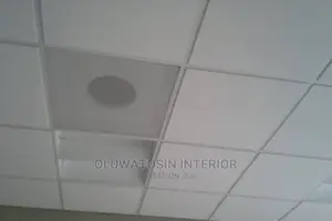Acoustic/Gypsum Suspended Ceiling
