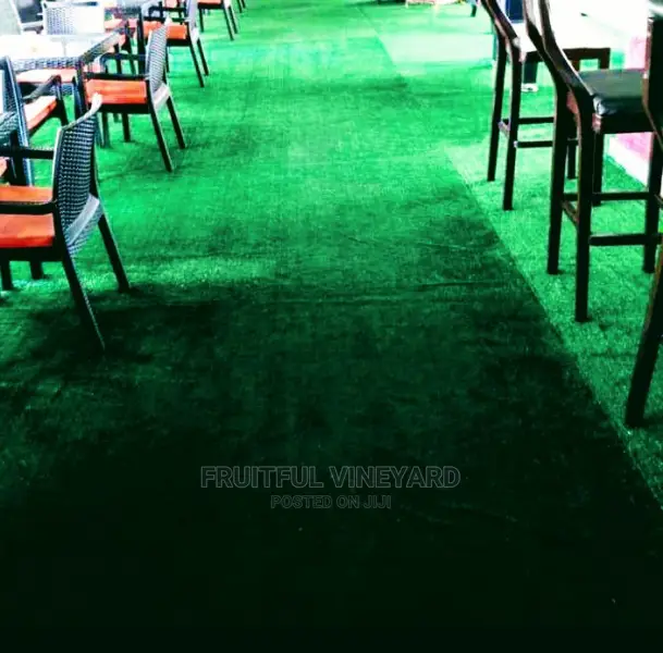 Green Carpet Grass