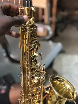 Standard Alto Saxophone