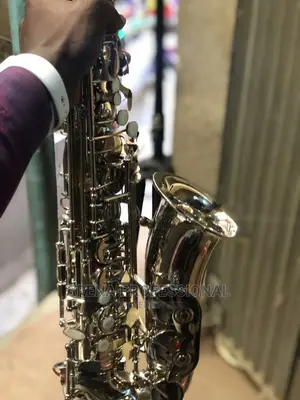Standard Alto Silver Saxophone