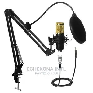Photo - Professional Bm-800 Mic Set
