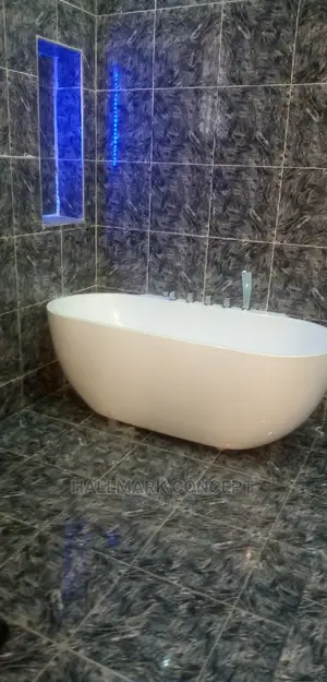 Executive Bath Tub With Inbuilt Mixers.