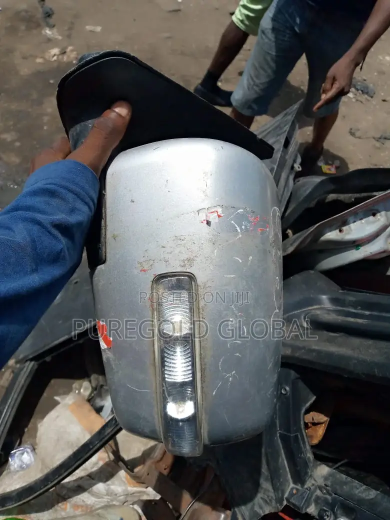 Kia Mohave Side Mirror