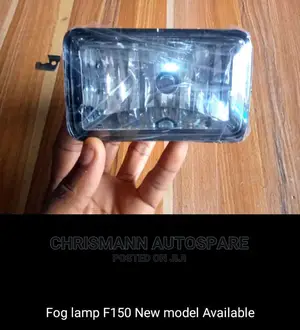 Fog Lamp F150 2017 Model