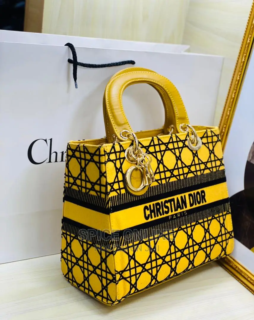 CHRISTIAN Dior Designer Bag