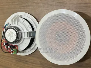 200 Watts 2 in 1 Lucky Tone Bluetooth Ceiling Speaker