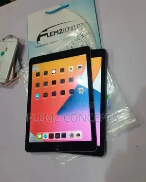 Apple iPad Air 2 64 GB Gray