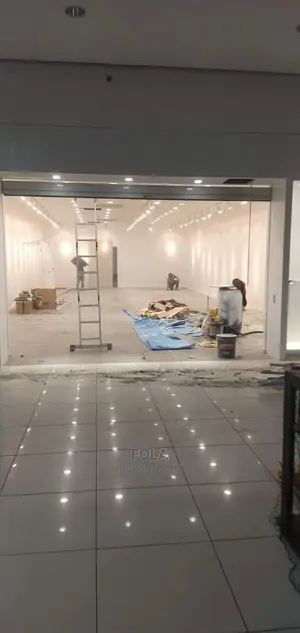 Ceiling/Wall Screeding /Window Artwork