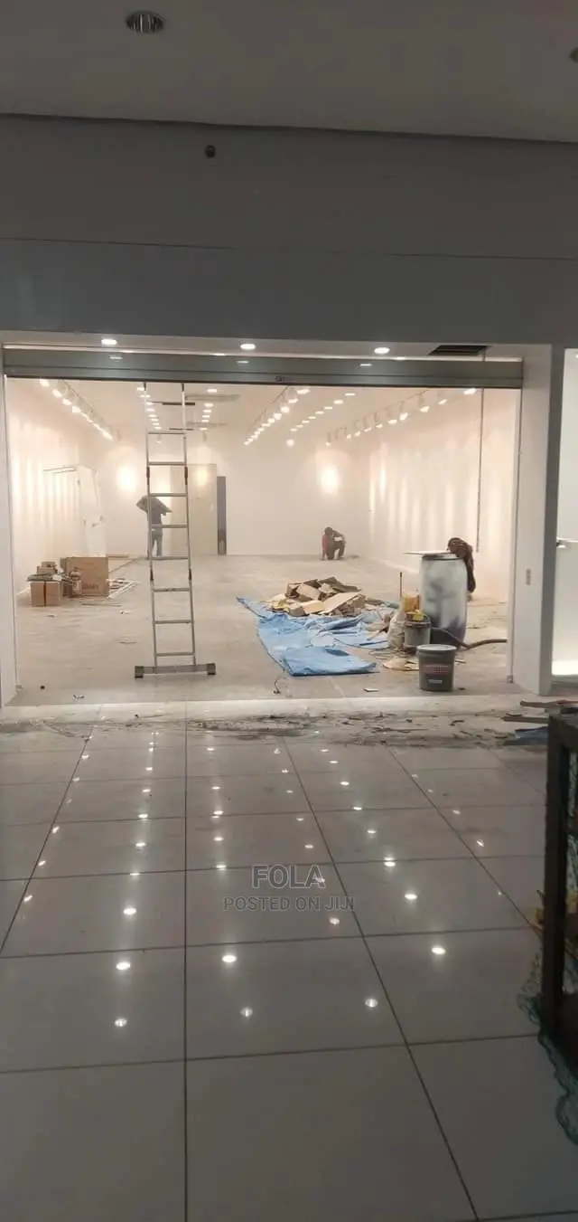 Ceiling/Wall Screeding /Window Artwork