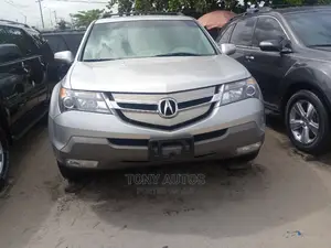 Acura MDX 2009 Silver
