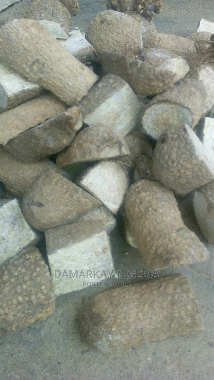 Improved Yam Planting / Per Park