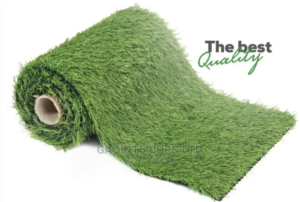 Carpet Grass