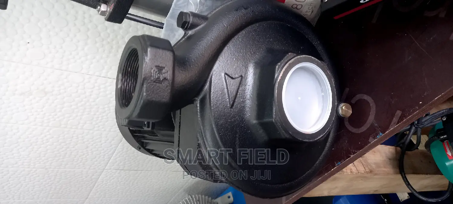 Grundfos Surface Water Pump