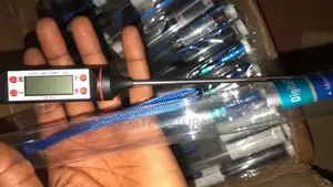 Digital Thermometer Pen