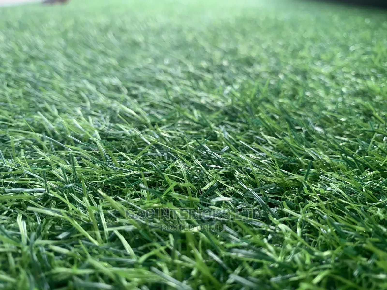 Grass Carpet