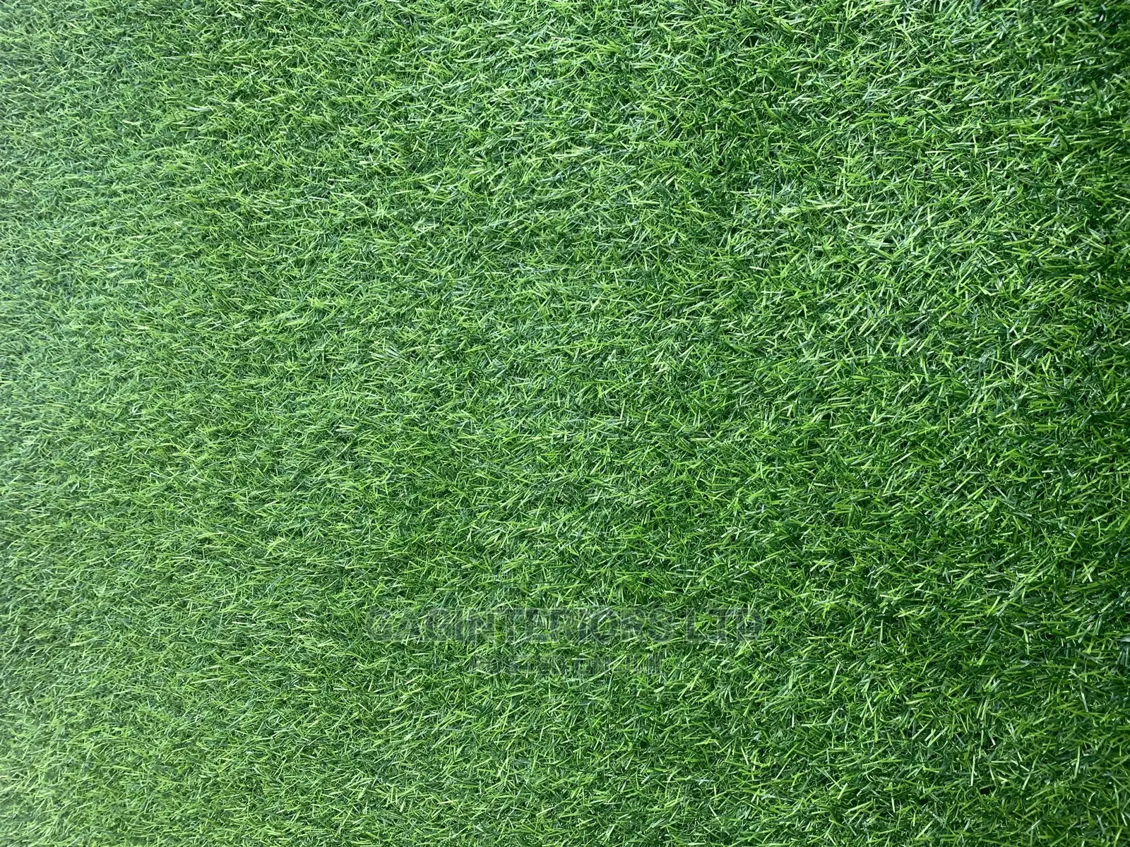 Synthetic Grass