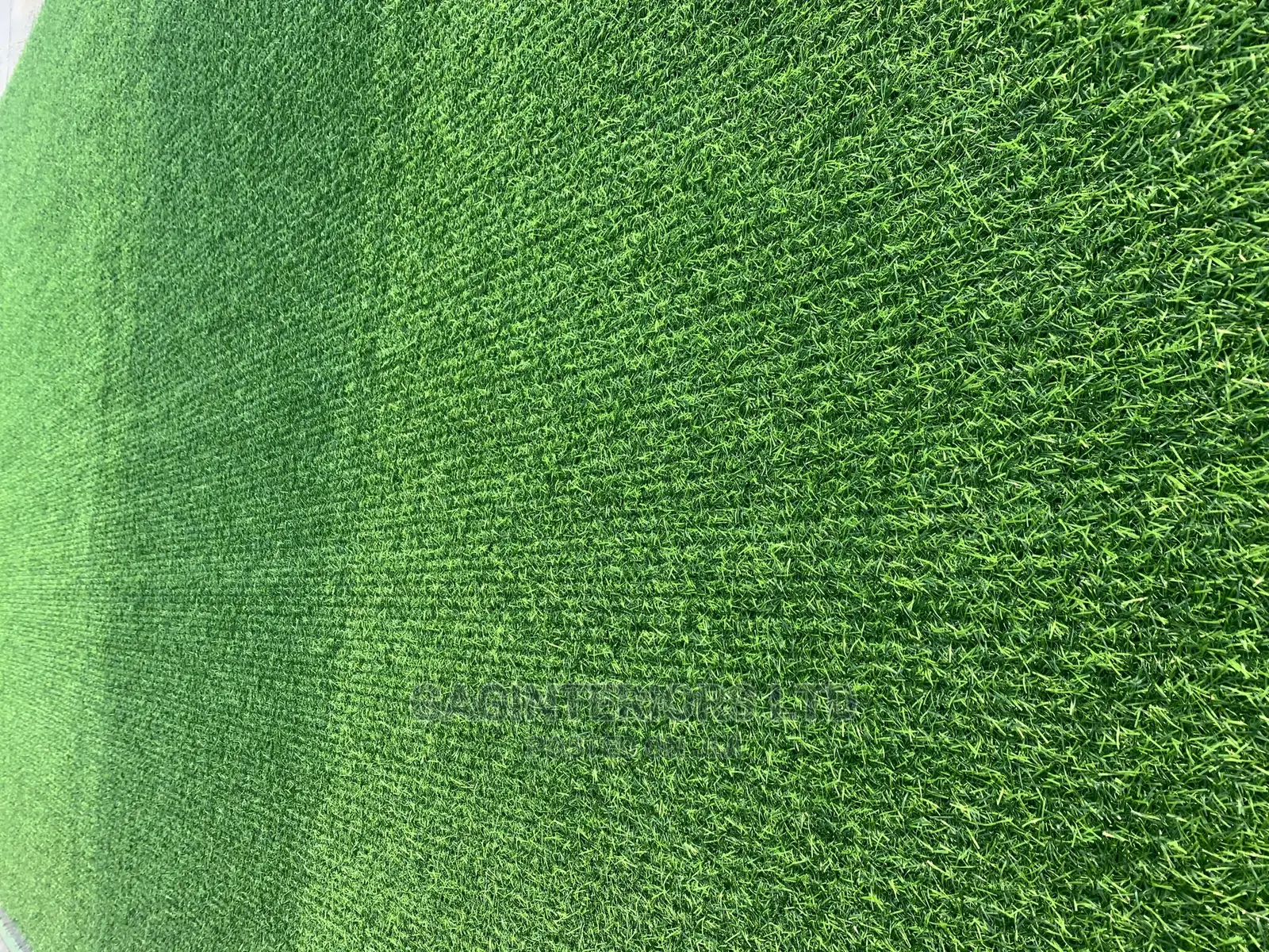 Synthetic Grass