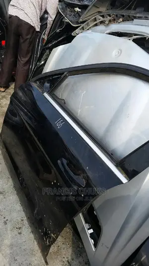 Door for Ml 350 2013