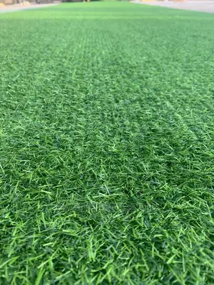 Grass Carpet