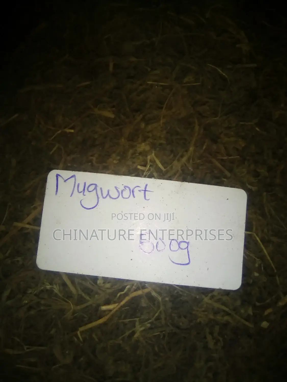 MUGWORT HERB (500 Grm)