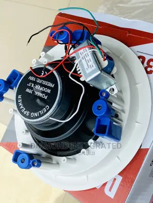 Ceiling Speaker With Clear Sound Production