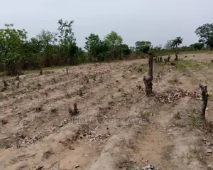 4 Plot of Land for Quick Sale