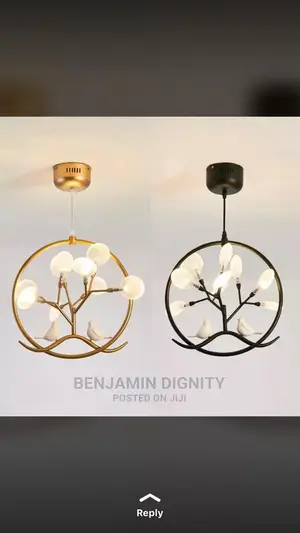 Dropped Pendant Lights