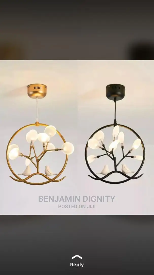 Dropped Pendant Lights