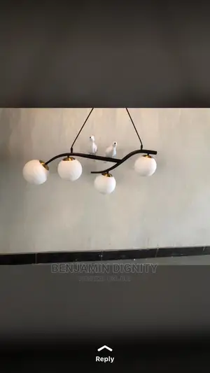 Dropped Pendant Lights